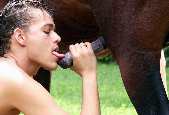 Man Swallows Horse Cum.